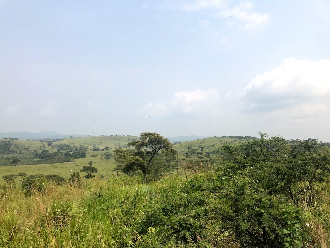 Sustainable Agriculture